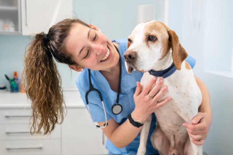 Contato de Clínica Veterinária de Cães e Gatos Vila Rolim - Clínica Veterinária Perto