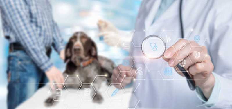 Exames Laboratoriais Cachorros Clínica Chácara Peroba CHS Marco - Eletrocardiograma para Cachorro