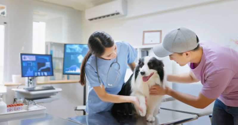 Onde Fazer Exames Laboratoriais Cachorros Chácara Peroba CHS Marco - Exames Laboratoriais para Animais Jandira