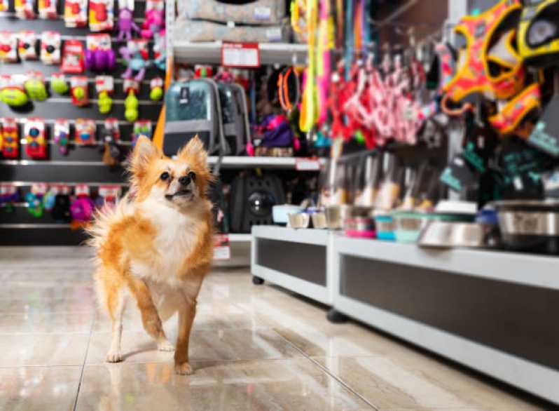 Pet Shop Banho e Tosa Jardim Maria Rosa - Pet Shop para Cachorros