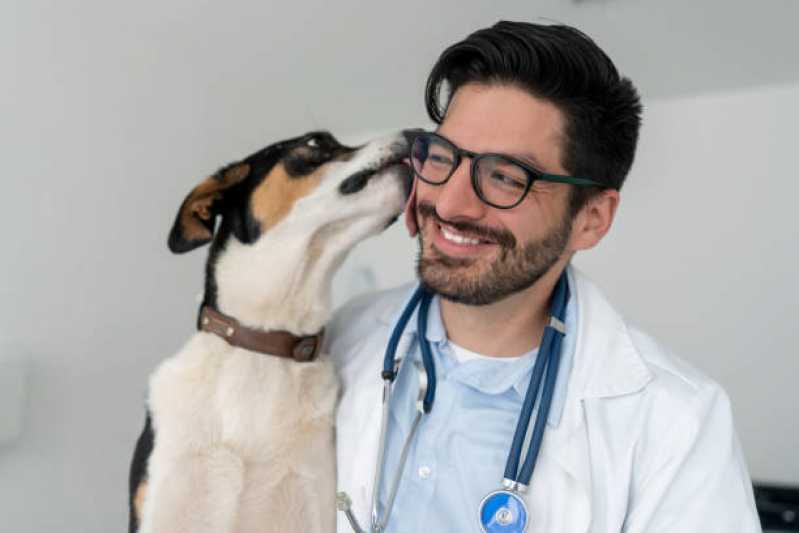Clínicas veterinárias