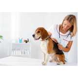 aplicação de vacina de gripe para cachorro Jardim Mase