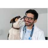 clínica veterinária animal Vila Rolim
