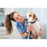 contato de clínica veterinária de cães e gatos Jardim Jaqueline
