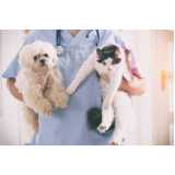 exames laboratoriais para cachorros clínica Jardim Lucia