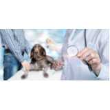 exames laboratoriais para pets clínica Jardim America