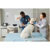 onde agendar consulta veterinária dermatológica para cachorro Vale do Sol