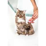 onde fazer banho em gato pet shop Vila Olga