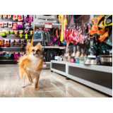 pet shop para cachorros Vila Mackenzie