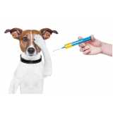 vacina contra raiva em cachorro clínica Jardim Camila