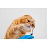 vacina de raiva para gatos clínica Parque Viana Praça