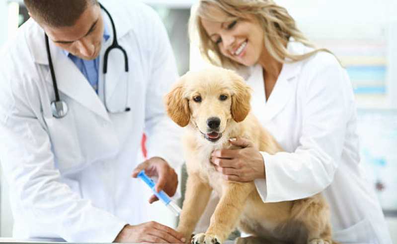 Vacina de Giárdia Clínica Vale do Sol - Vacina contra Raiva para Cachorro Jandira