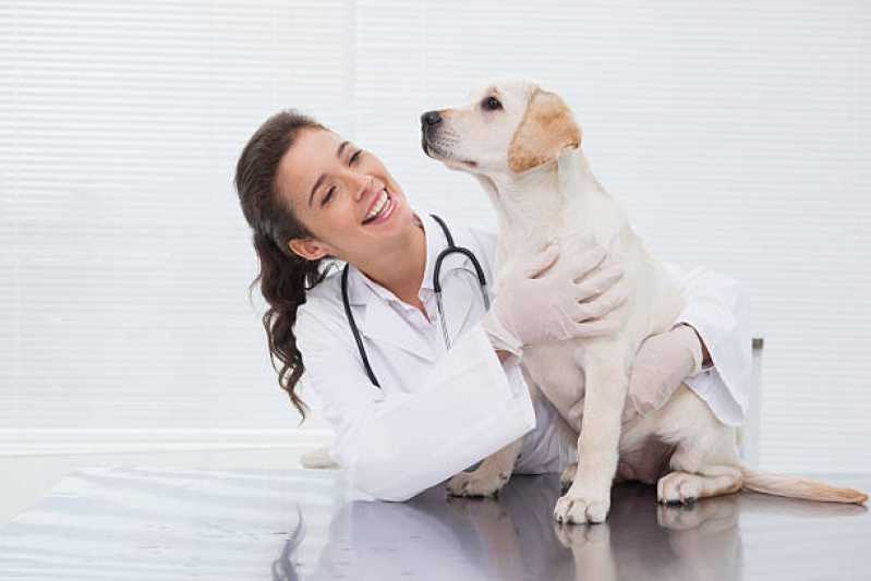 Clínica Veterinária Contato Jardim Audir - Clínica Veterinária de Cães e Gatos