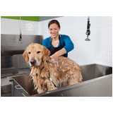 banho e tosa para cachorro Vila Ouro Verde