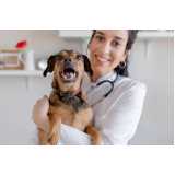 clínica veterinária animal contato Vila Suzana
