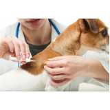 onde marcar vacina de gripe para cachorro Parque dos carmargos